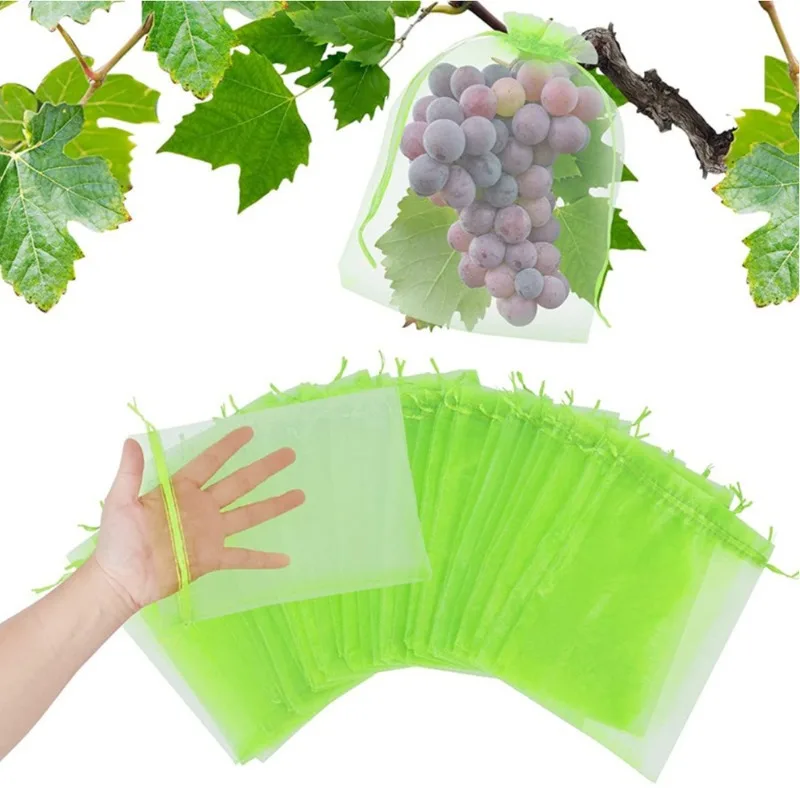 50pcs 20x30cm Fruit Protection - Mesh Net Bag review and price