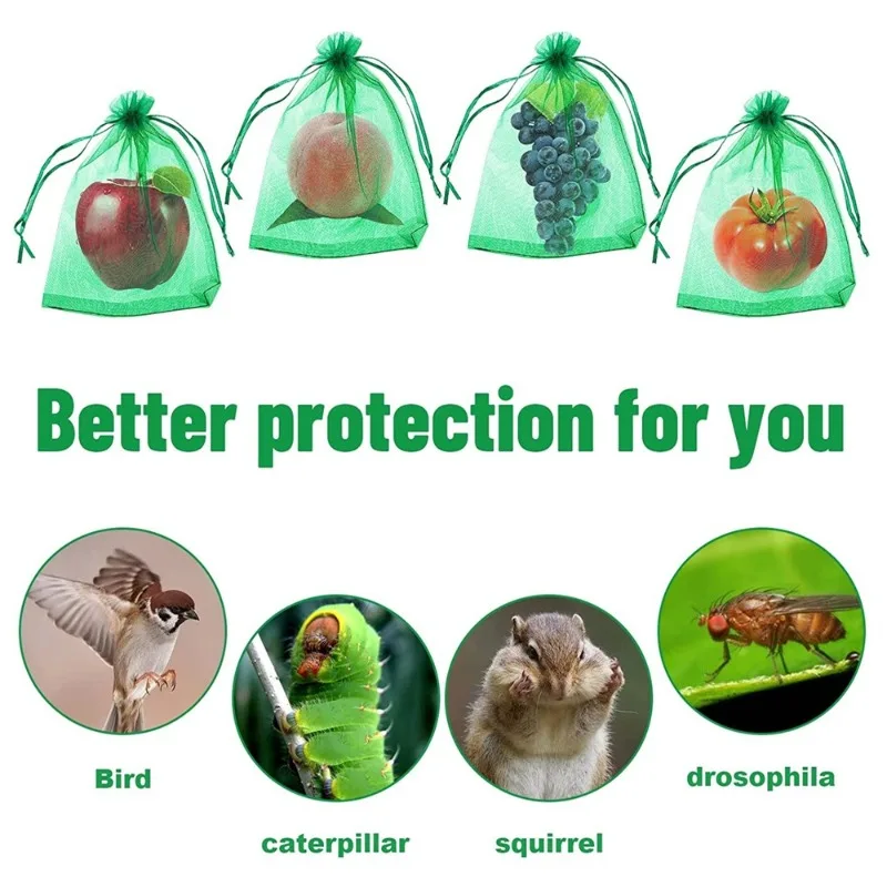 50pcs 20x30cm Fruit Protection - Mesh Net Bag review and price