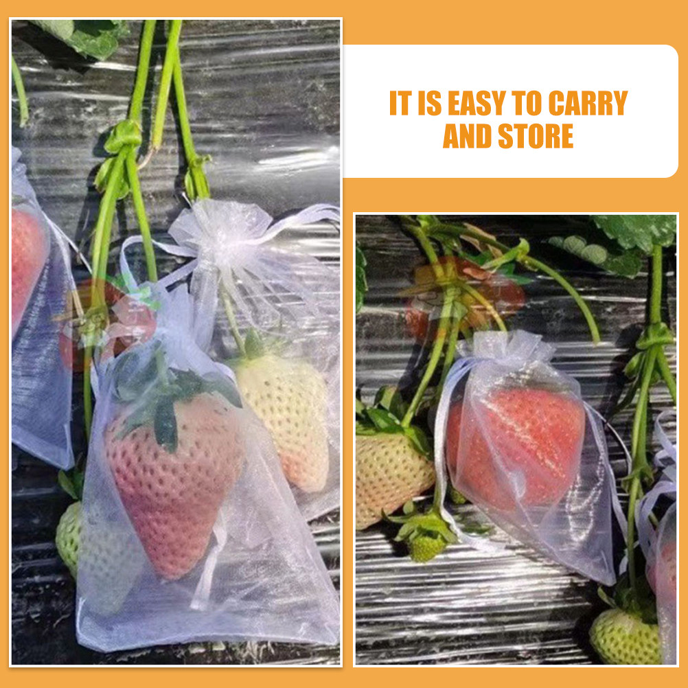 50Pcs Fruit Protection Bags Me - Mesh Net Bag review and price